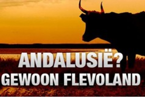 Flinke groei vrijetijdsindustrie Flevoland  