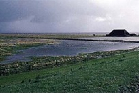 Bewoners beheren natuur op Terschelling