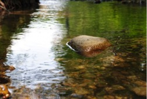 Onbegrip Natura 2000 nadelig voor natuurbescherming?