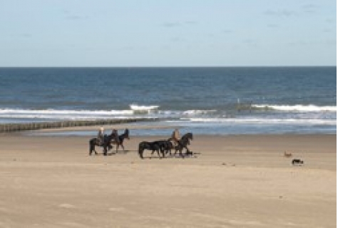 Nederlandse kust in de internationale schijnwerpers