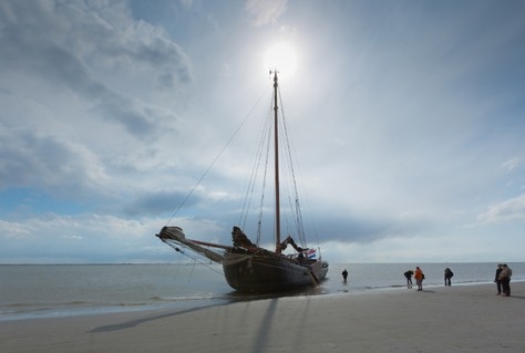 Dag- en meerdaagse trips naar Waddenzee gebundeld op één website