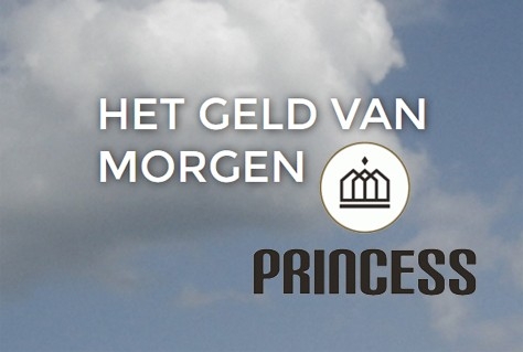 Princess Hotel Collection accepteert als eerste BitCoins als betaalmiddel 