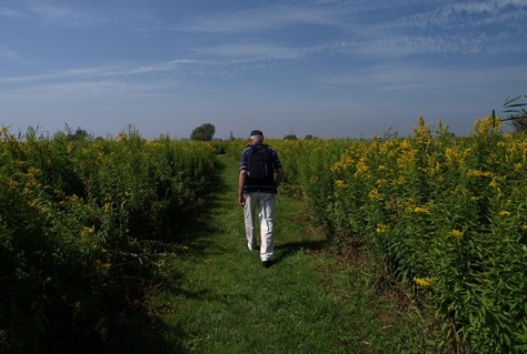 Natuurmonumenten onderzoekt spanningsveld tussen  natuurbeleving en natuurbescherming