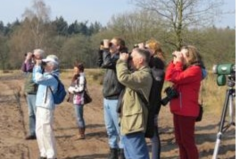 Subsidie voor opleiding natuurgidsen Groene Woud