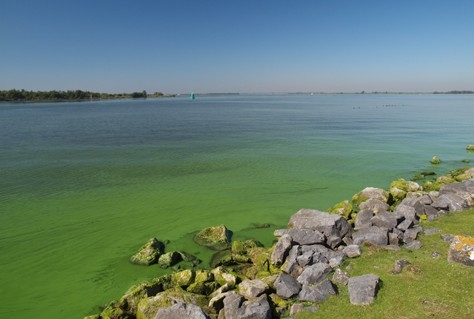 Rijk wil getijde weer terug in Grevelingen en Volkerak-Zoommeer