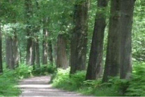 Workshop Tijdelijke natuur, permanente winst