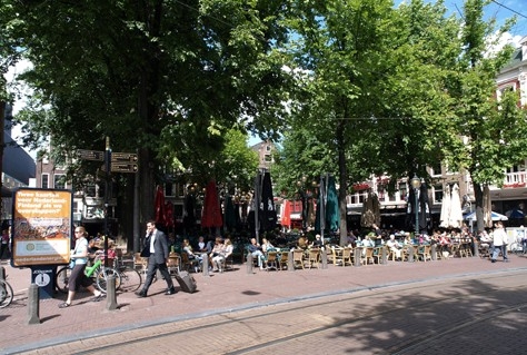 Welke invloed heeft straatgroen op de kwaliteit van leven?