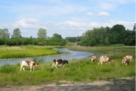 Nieuwe eigenaar en beheerder voor natuurgebied Reggedal Enter