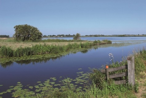 IJsseldelta Marketing gaat samen met IVN natuurambassadeurs opleiden