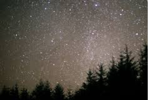 Boschplaat eerste Nederlandse Dark Sky Park?