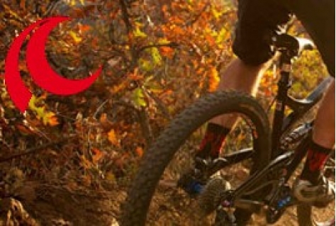Le Champion stapt in sportreizen