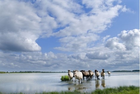 Elf travelbloggers bezoeken Lauwersmeer