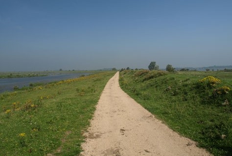 Veertig natuurgebieden beter toegankelijk voor mensen met een beperking