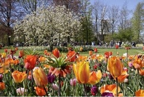 Keukenhof 2016 in kleuren Gouden Eeuw