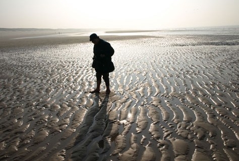Landelijke Kustdag Breskens
