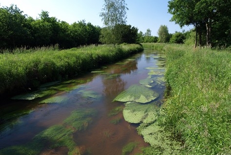 Brabant wil platform voor natuurroutes