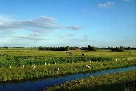 Zorgen om het Nederlandse landschap