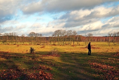 Nog vijf routes op shortlist Wandelroute van het Jaar