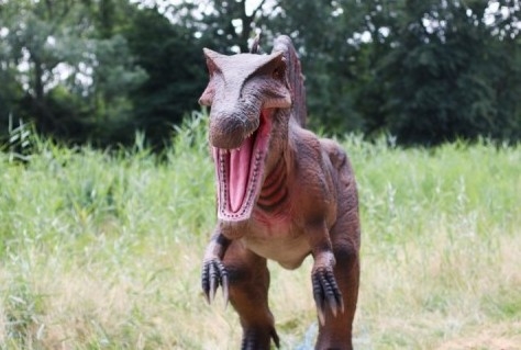 Dino park in Schiedam draait goed