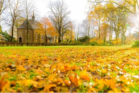 Hoe Noord-Brabant de wereld laat weten dat Van Gogh een Brabander is