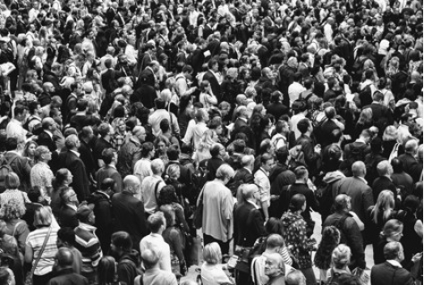Nederlandse bevolking groeit vooral door immigratie