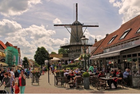 Het belang van een organisatorisch eco-systeem