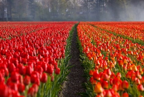 Raad voor de Leefomgeving presenteert snel advies over toerisme