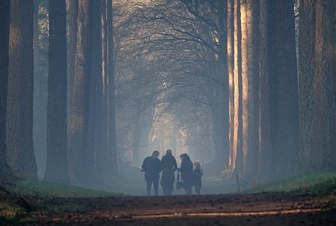 Vrees voor onvoldoende ontwikkeling Veluwe door stikstofaanpak