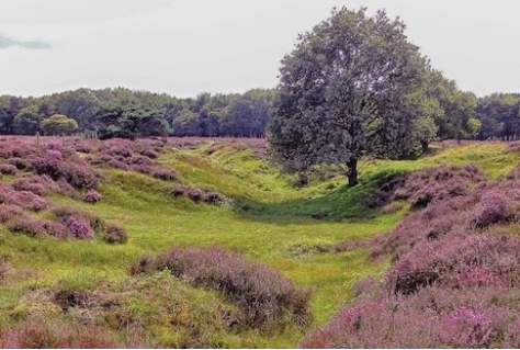 Beheer recreatiegebieden Noord-Holland in de knel