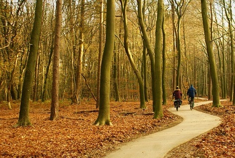 Samenwerking Routebureau Veluwe wordt omgezet naar stichting