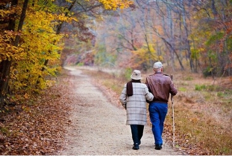Wandelmonitor onthult nieuwe trends