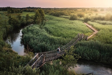 Vindingrijk van nature