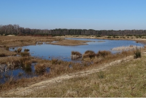 Pakkans in groene Brabantse gebieden blijft groot