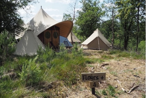 Biedt het pop-up businessmodel een oplossing voor dagattracties?