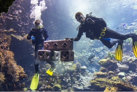 Start up Reefy experimenteert in Burgers' Zoo