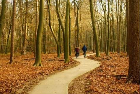 Veluwe op 1, een duurzaam netwerk?
