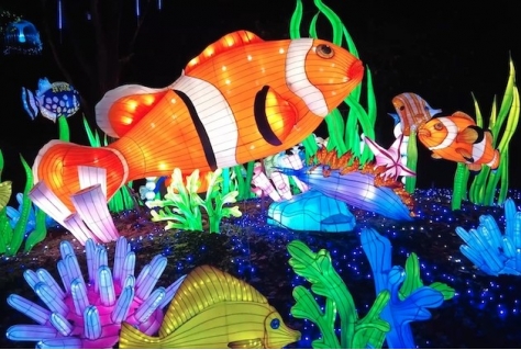 Light Safari met duizenden verlichte dieren en planten