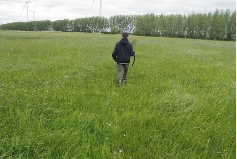 Wandelnet en ANWB willen meer mogelijkheden voor wandelen langs boerenland