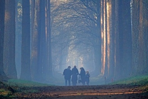 Ecologische Autoriteit kritisch op maatregelen Gelderland