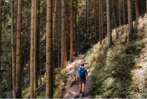 Nieuw ANWB-boek Hike de Benelux maakt langeafstandswandelen toegankelijk en inspirerend