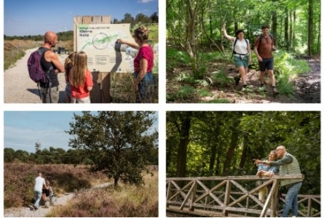 Eerste selectie Vlaanderens mooiste wandelroutes