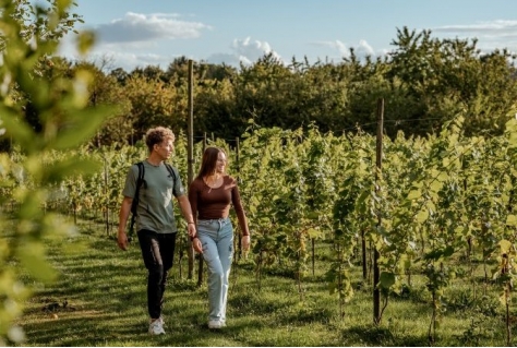 Versterking beleving wijn in Zuid-Limburg met wijnroute Savelsbos