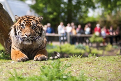 Twee Michelinsterren voor Burgers' Zoo