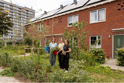 Steden kunnen veel meer groen plaatsen