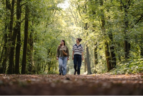 Vraag naar recreatief wandelen verdrievoudigd in Brabant