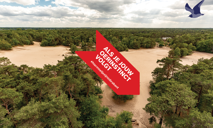 De Brabantse campagne afgelopen zomer en najaar: ‘Hier moet je zijn in Brabant’. De Brabantse campagne afgelopen zomer en najaar: ‘Hier moet je zijn in Brabant’.