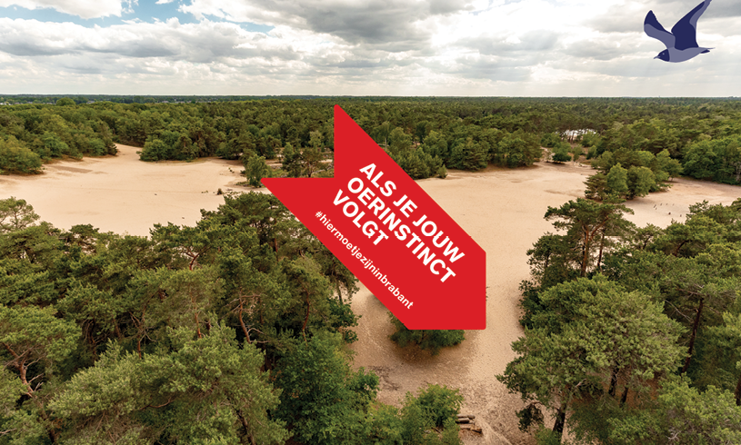 De Brabantse campagne afgelopen zomer en najaar: ‘Hier moet je zijn in Brabant’.