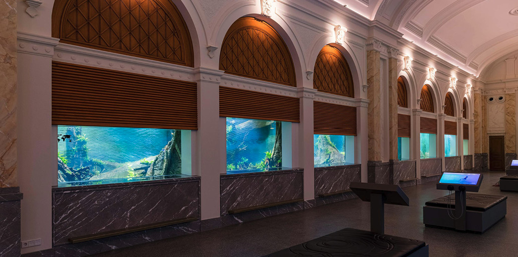De grote aquariumzaal heeft als thema Water als thuis.