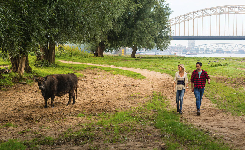 De Ooijpolder is een natuurgebied in de uiterwaarden aan de Waal dat voornamelijk ligt in de gemeente Berg en Dal.