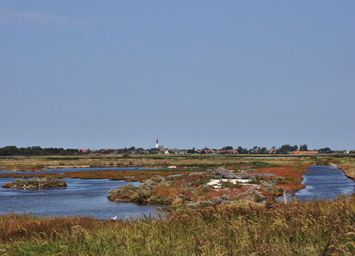 De Petten, een natuurgebied nabij Den Hoorn, in de zuidoostelijke hoek van Texel. Het gebied bestaat uit brak water en kleine eilandjes.